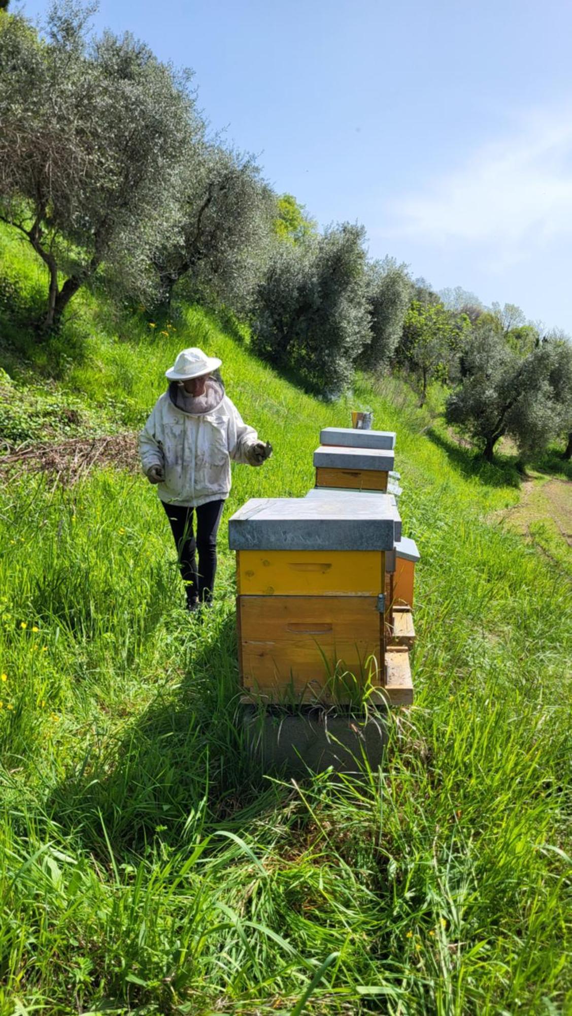 Agriturismo Podere Nigriano 살로 외부 사진