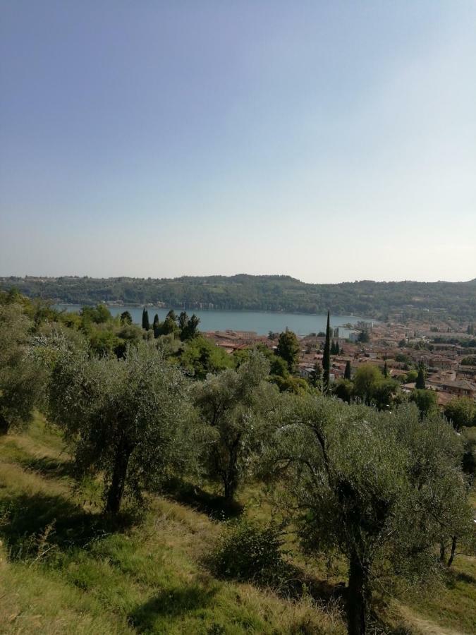 Agriturismo Podere Nigriano 살로 외부 사진