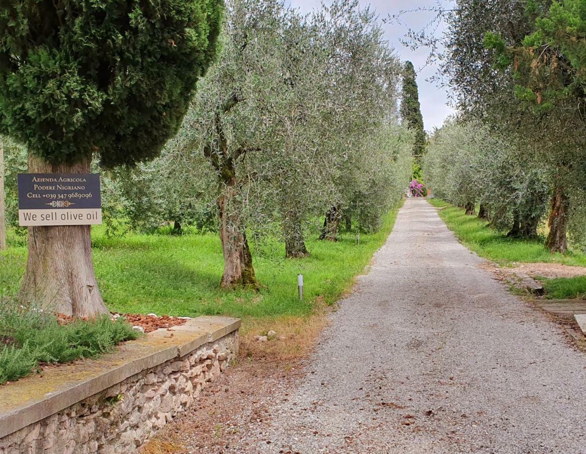 Agriturismo Podere Nigriano 살로 외부 사진